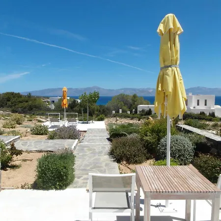 Blue Amaryllis * Szánda María