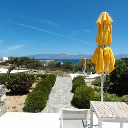 Hotel Blue Amaryllis *