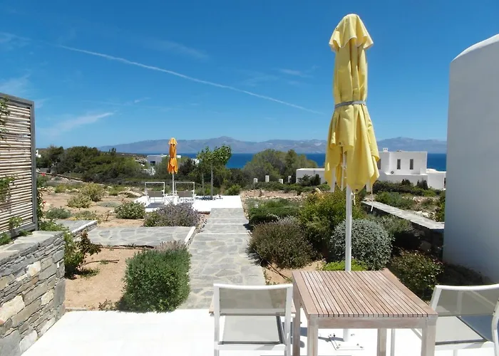 Blue Amaryllis * Szánda María