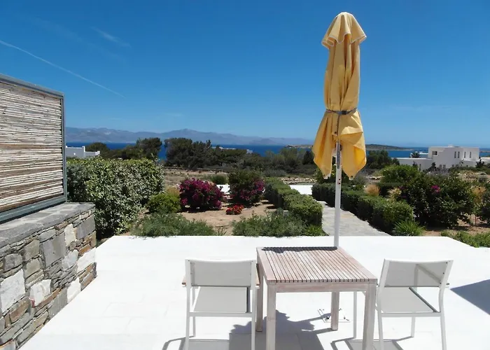 Blue Amaryllis Szánda María